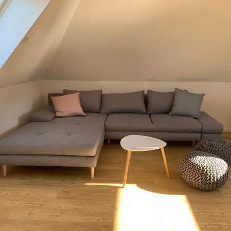 Appartement Ruedlins-Winzerhof à Auggen Extérieur photo