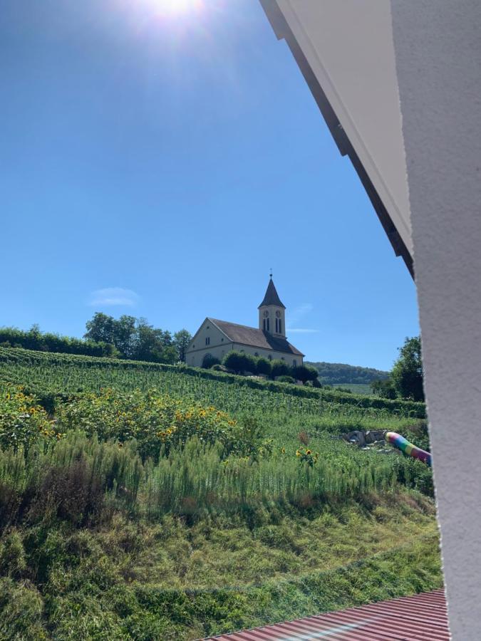 Appartement Ruedlins-Winzerhof à Auggen Extérieur photo